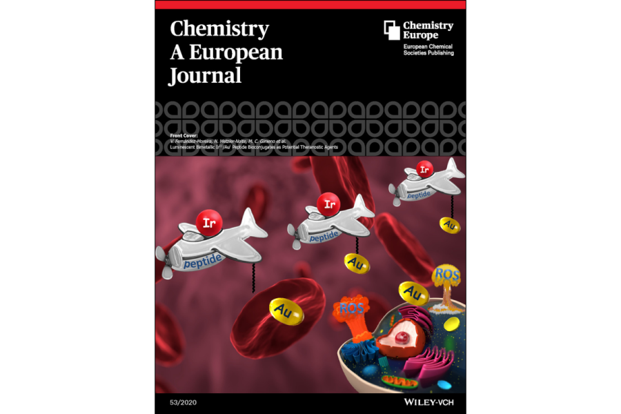 Chemistry – A European Journal, 2020, 26 (53), 12081
